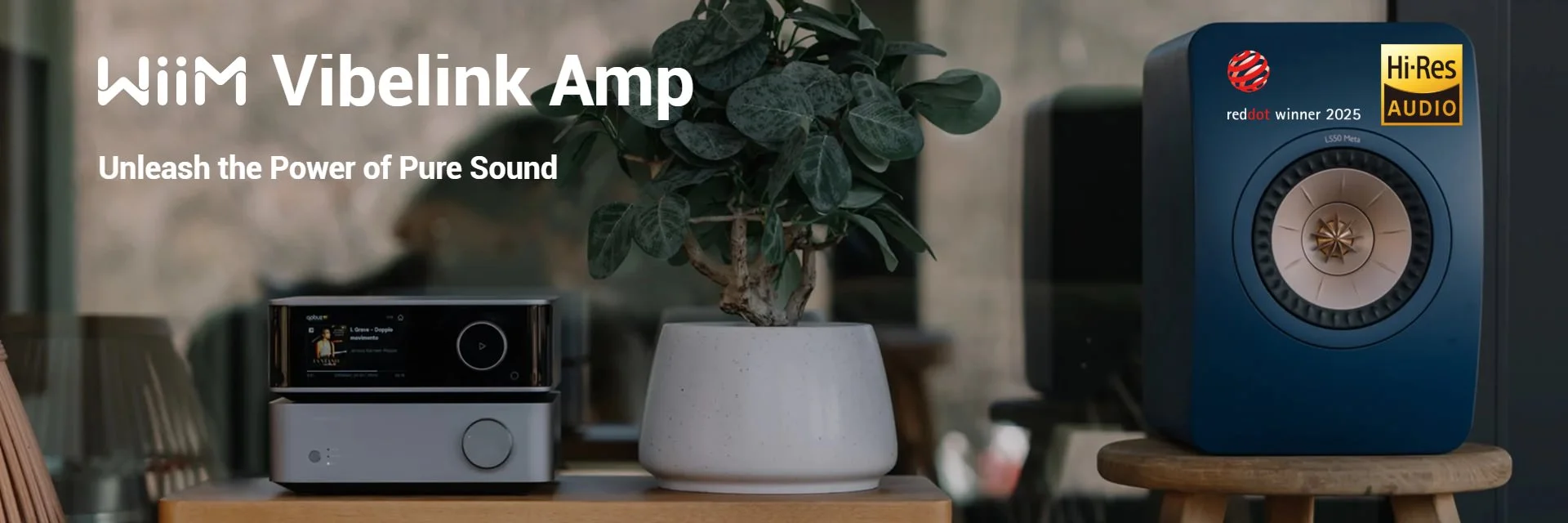 WiiM Vibelink Amp
