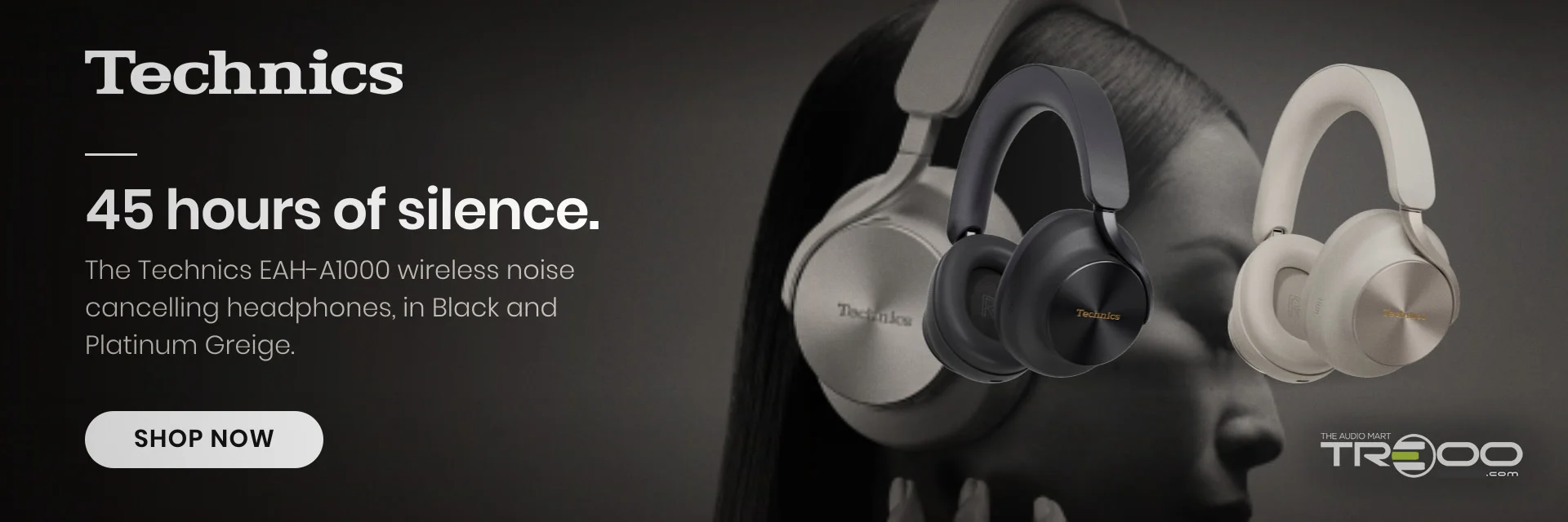 Technics EAH-A1000 headphones