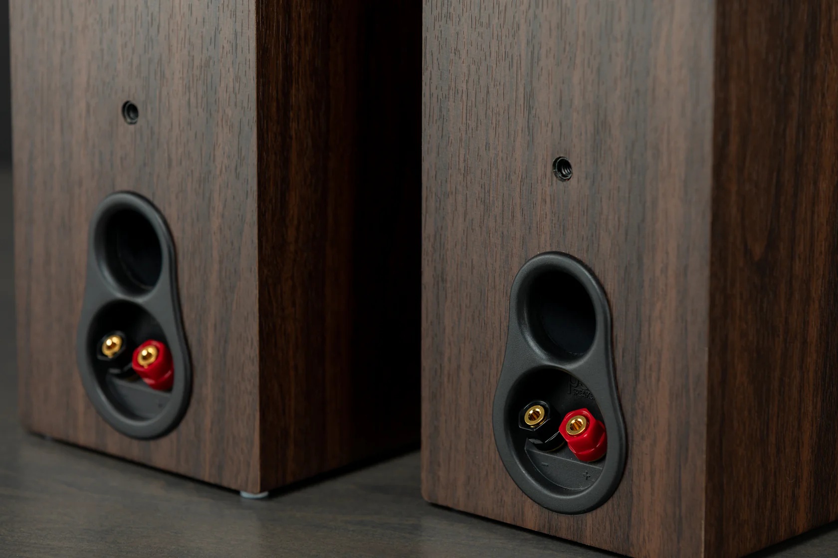 Rear panel of an active bookshelf speaker showing built-in amplifier and audio input ports.
