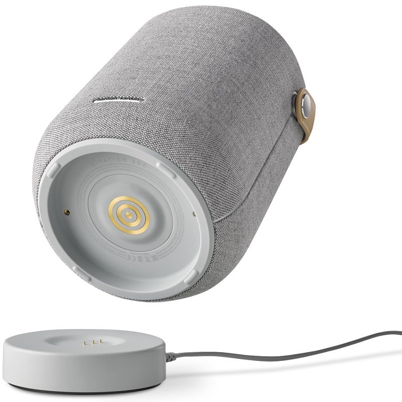 Harmon Kardon Citation 200 (Grey)