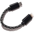 FiiO LT-LT2 Apple Lightning to USB Type-C OTG Cable (10cm)