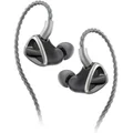 FiiO FH19 8-Driver 2DD+6BA Hybrid In-Ear Earphone