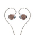 FiiO FP3 (Black Walnut) FiiO FP3 (Black Walnut)