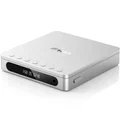 FIiO DM13 (Silver)