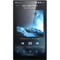 FiiO JM21 (Black) DAP