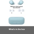 Sony WF-C510 True Wireless Bluetooth In-Ear Earphone with Built-in Microphone - Blue