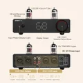 AIYIMA T20 Balanced Tube Preamplifier