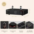 AIYIMA T20 Balanced Tube Preamplifier