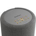 Audio Pro A10 MkII W Multi-Room Wireless Bluetooth WiFi Network Speaker Dark Grey