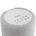 Audio Pro A10 MkII W Multi-Room Wireless Bluetooth WiFi Network Speaker Light Grey