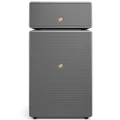 Audio Pro Drumfire II W Multi-Room Wireless Bluetooth/WiFi Network Speaker with Subwoofer - Grey