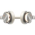 FiiO Anytime SnowSky On-Ear Bluetooth ANC Headphones - Titanium Gold