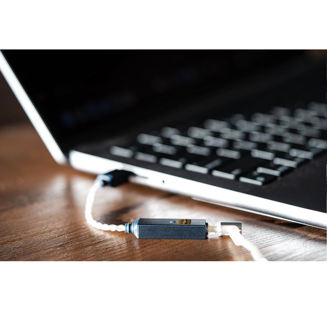 iFi GO link 2 Type-C USB DAC & Headphone Amplifier Cable Dongle