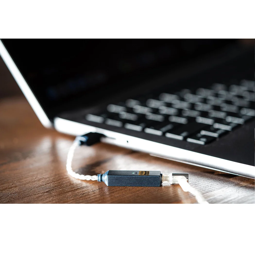 iFi GO link 2 Type-C USB DAC & Headphone Amplifier Cable Dongle