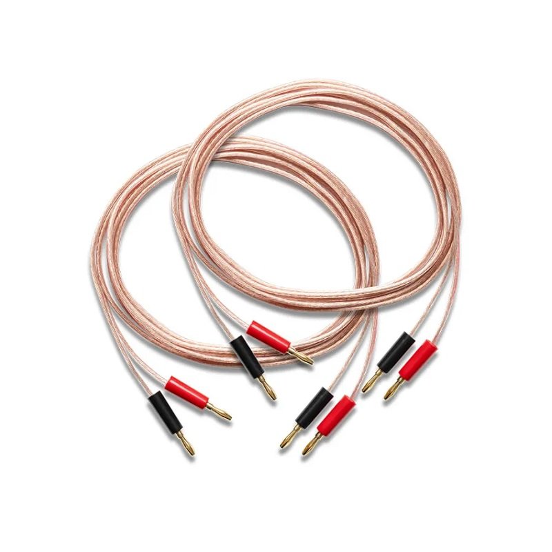 Pro-Ject Stereo Set E Phono All-In-One Analog HiFi Stereo System Bundle - Black Walnut Wood