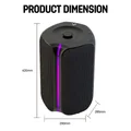 Vinnfier Tango Studio 3 Wireless Bluetooth Portable Speaker with FM Radio & Wireless Handheld Microphones