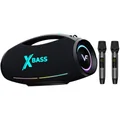 Vinnfier Tango XT510 Wireless Bluetooth Portable Speaker with Dual Wireless Handheld Microphones