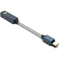 iFi GO link 2 Max Type-C USB to 3.5/4.4mm Balanced DAC & Headphone Amplifier Cable Dongle
