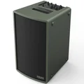 C-Music Hometainer 8M Wireless Bluetooth Portable PA Loudspeaker with Built-In Mixer - Moss Green