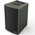 C-Music Hometainer 8P Stereo Extension Speaker for Hometainer 8M - Moss Green