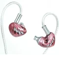 ARTPICAL Raphael 10mm PU+LCP Driver (1DD) In-Ear Earphone