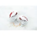 ARTPICAL Raphael 10mm PU+LCP Driver (1DD) In-Ear Earphone
