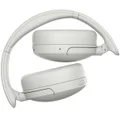 Sony WH-CH730N 30mm Driver (1DD)