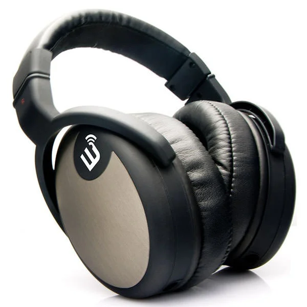 Brainwavz HM5 Over-Ear Studio Monitoring Headphone