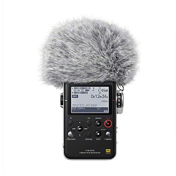 Sony PCM-D100 Portable Digital Audio & Voice Recorder