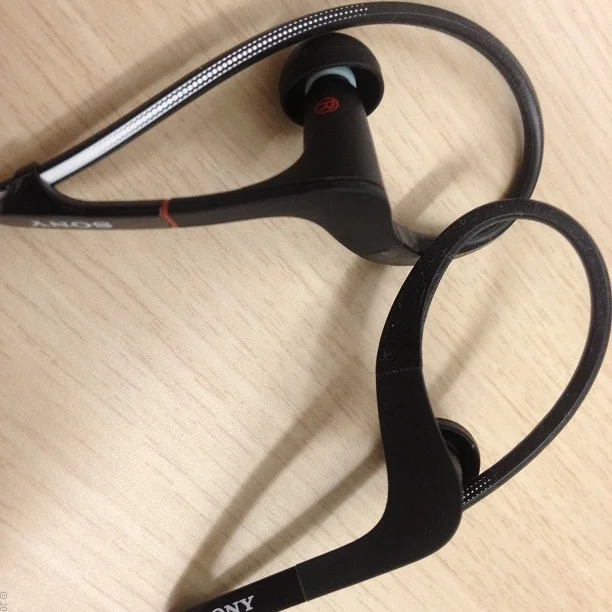 Sony XBA-S65 In-Ear Earphone - Black