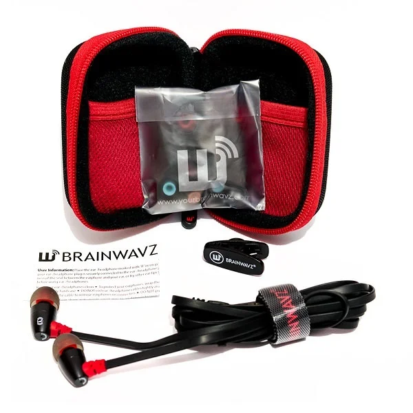 Brainwavz Small Hard Travel Protective Earphone Case