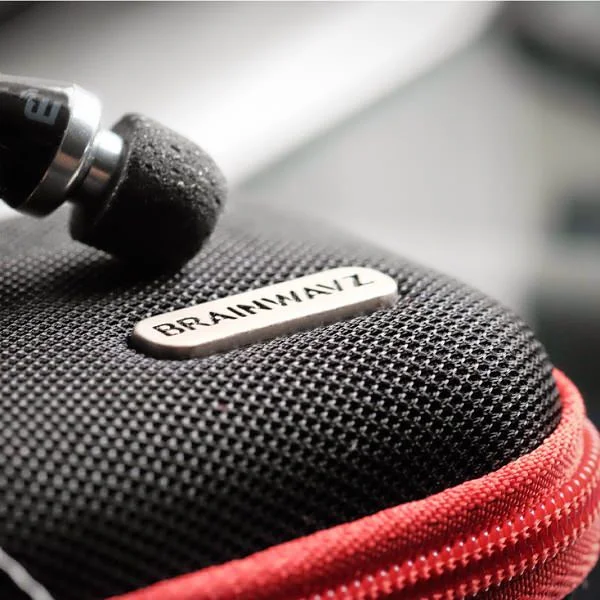 Brainwavz Small Hard Travel Protective Earphone Case