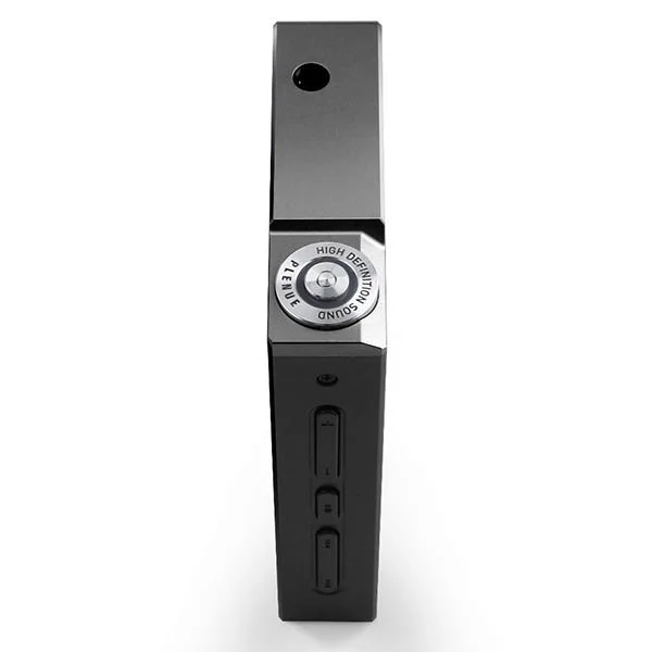 Cowon Plenue D Digital Audio Player - Silver Black