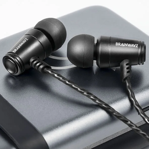 Brainwavz M100 In-Ear Earphone with Mic (EX-DEMO)