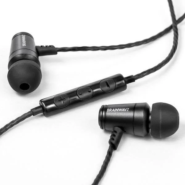 Brainwavz M100 In-Ear Earphone with Mic (EX-DEMO)
