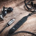 AAW Capri Lightning Copper Upgrade Cable with Mic