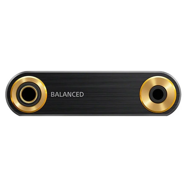 Sony NW-ZX300 Walkman Digital Audio Player