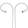 NocturnaL Audio N2 IEM cable