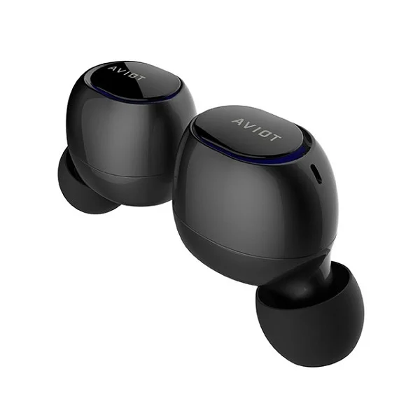 AVIOT TE-D01b True Wireless Bluetooth In-Ear Earphone with Mic - Black