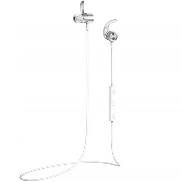 AVIOT WE-D01c Wireless Bluetooth In-Ear Earphone with Mic - Silver