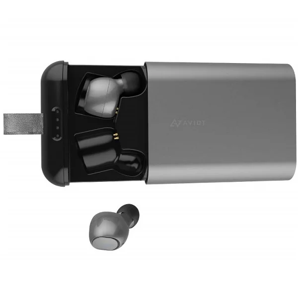 AVIOT TE-D01b True Wireless Bluetooth In-Ear Earphone with Mic - Gunmetal