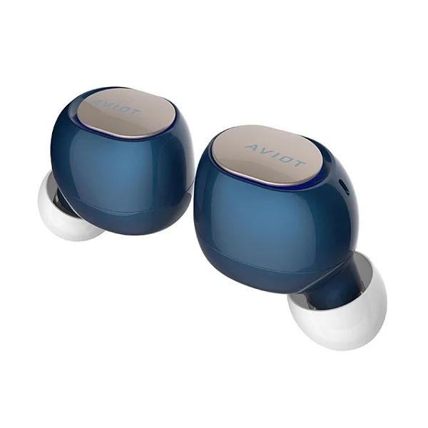AVIOT TE-D01b True Wireless Bluetooth In-Ear Earphone with Mic - Navy Blue
