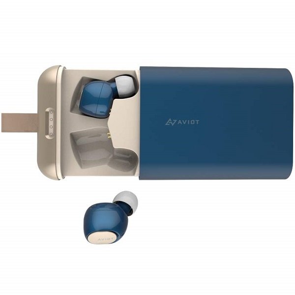 AVIOT TE-D01b True Wireless Bluetooth In-Ear Earphone with Mic - Navy Blue