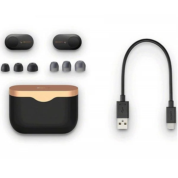 Sony WF-1000XM3 True Wireless Bluetooth Noise-Cancelling In-Ear Earphone with Mic - Black