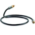 QED Performance Subwoofer Cable