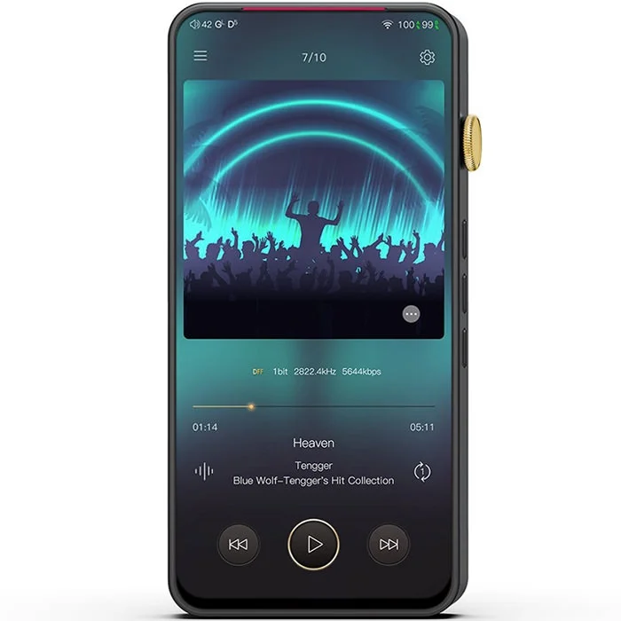 iBasso DX300 (Black)