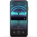 iBasso DX300 (Black)