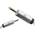 iFi 4.4mm to 4.4mm Balanced Interconnect Cable iFi 4.4mm to 4.4mm Balanced Interconnect Cable