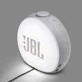 JBL Horizon 2 (Grey)