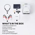 Shokz OpenMove (Grey)